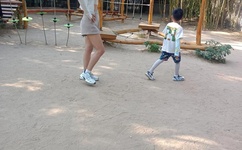 伦理电影下载网站